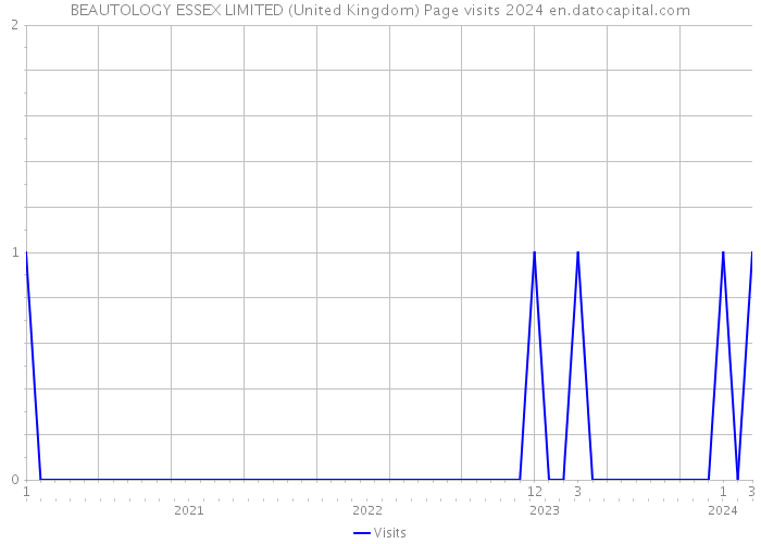 BEAUTOLOGY ESSEX LIMITED (United Kingdom) Page visits 2024 