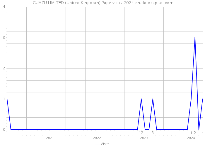 IGUAZU LIMITED (United Kingdom) Page visits 2024 