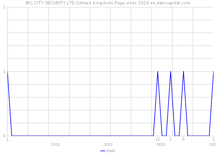 BIG CITY SECURITY LTD (United Kingdom) Page visits 2024 
