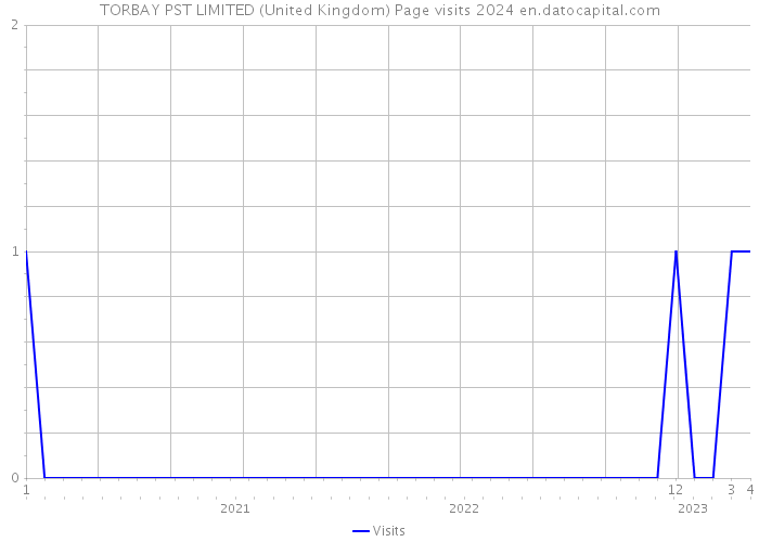 TORBAY PST LIMITED (United Kingdom) Page visits 2024 