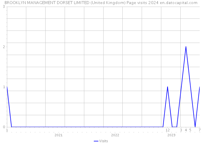 BROOKLYN MANAGEMENT DORSET LIMITED (United Kingdom) Page visits 2024 