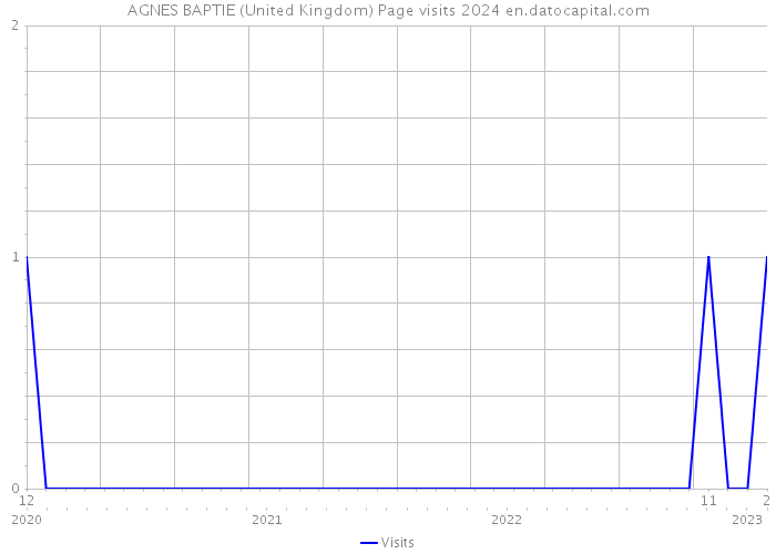 AGNES BAPTIE (United Kingdom) Page visits 2024 