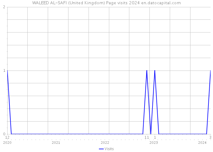 WALEED AL-SAFI (United Kingdom) Page visits 2024 