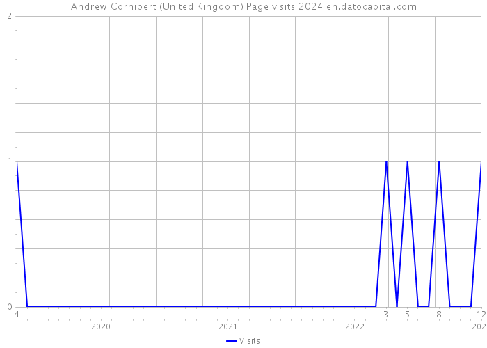 Andrew Cornibert (United Kingdom) Page visits 2024 