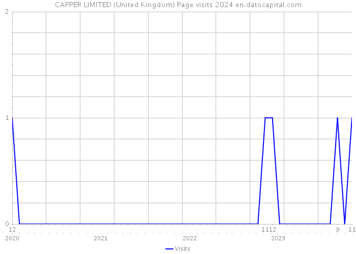 CAPPER LIMITED (United Kingdom) Page visits 2024 