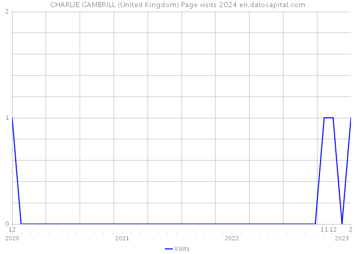 CHARLIE GAMBRILL (United Kingdom) Page visits 2024 