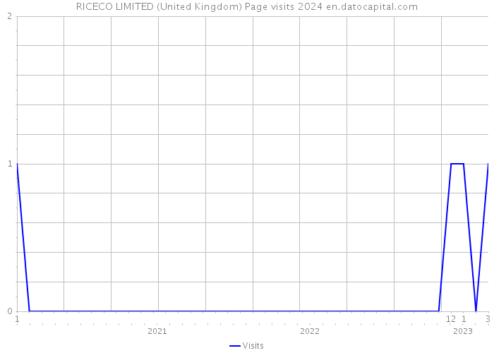 RICECO LIMITED (United Kingdom) Page visits 2024 