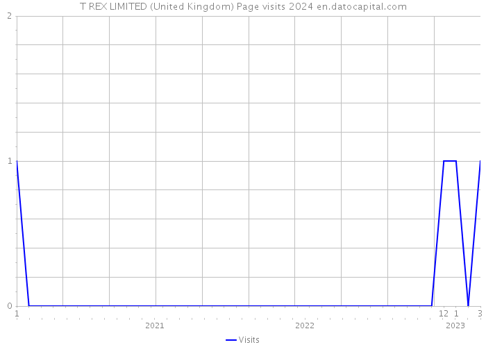 T REX LIMITED (United Kingdom) Page visits 2024 