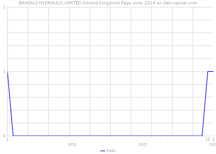 BANSALS HYDRAULIC LIMITED (United Kingdom) Page visits 2024 