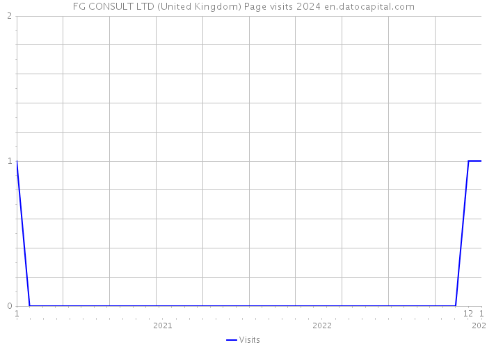 FG CONSULT LTD (United Kingdom) Page visits 2024 