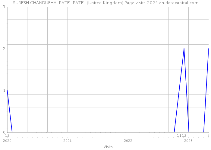 SURESH CHANDUBHAI PATEL PATEL (United Kingdom) Page visits 2024 