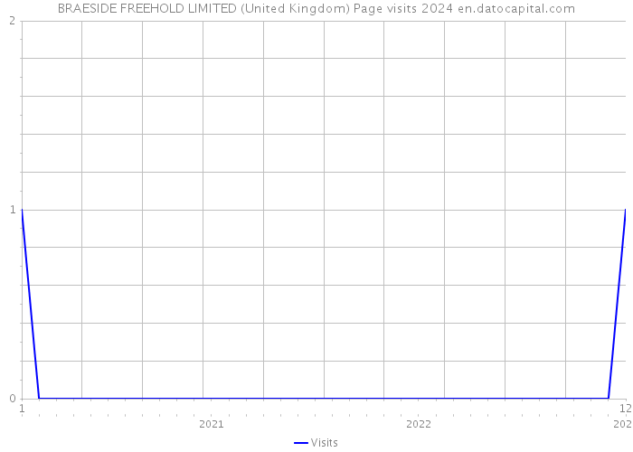 BRAESIDE FREEHOLD LIMITED (United Kingdom) Page visits 2024 