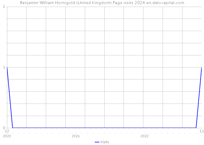 Benjamin William Hornigold (United Kingdom) Page visits 2024 