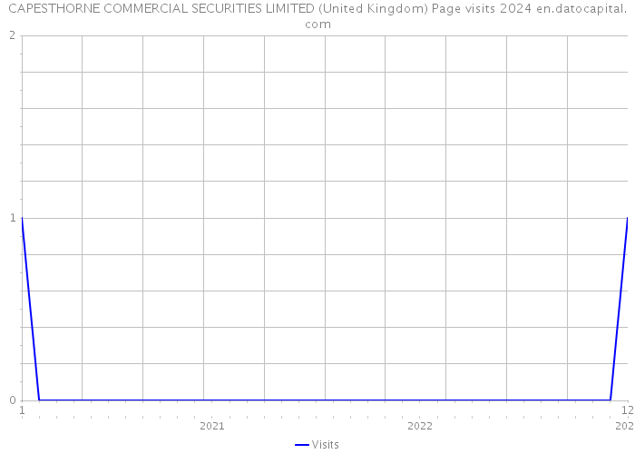 CAPESTHORNE COMMERCIAL SECURITIES LIMITED (United Kingdom) Page visits 2024 