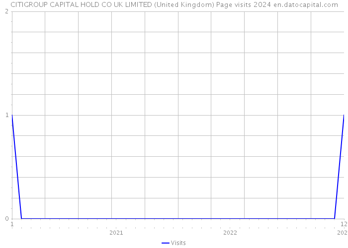 CITIGROUP CAPITAL HOLD CO UK LIMITED (United Kingdom) Page visits 2024 