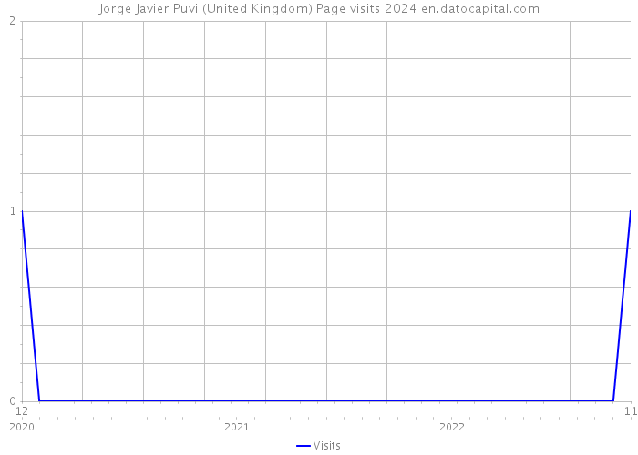 Jorge Javier Puvi (United Kingdom) Page visits 2024 