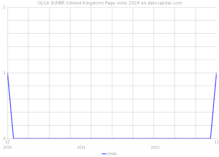 OLGA SUNER (United Kingdom) Page visits 2024 