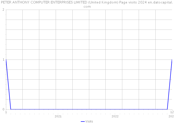 PETER ANTHONY COMPUTER ENTERPRISES LIMITED (United Kingdom) Page visits 2024 