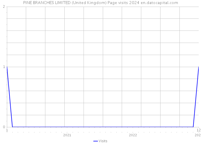 PINE BRANCHES LIMITED (United Kingdom) Page visits 2024 