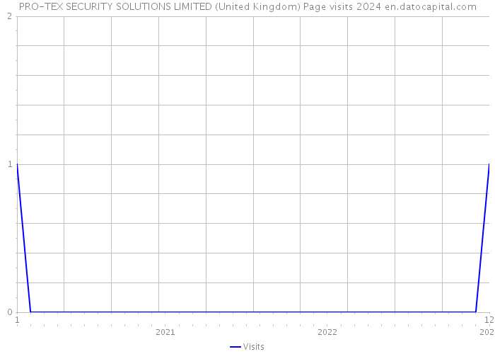PRO-TEX SECURITY SOLUTIONS LIMITED (United Kingdom) Page visits 2024 