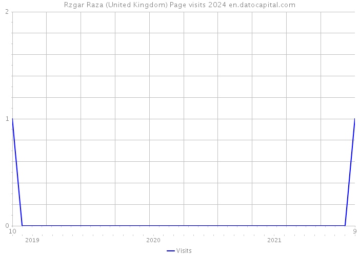Rzgar Raza (United Kingdom) Page visits 2024 