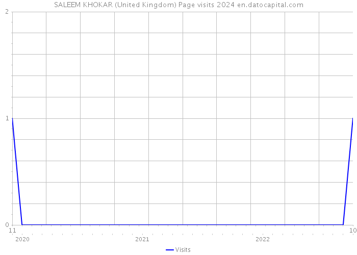 SALEEM KHOKAR (United Kingdom) Page visits 2024 