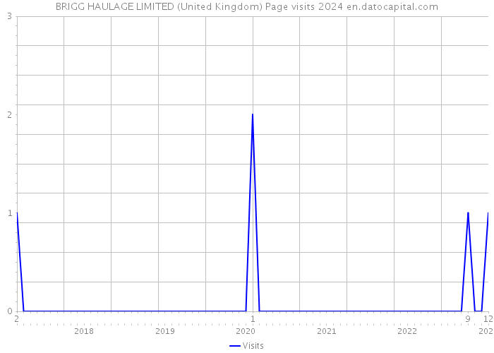 BRIGG HAULAGE LIMITED (United Kingdom) Page visits 2024 