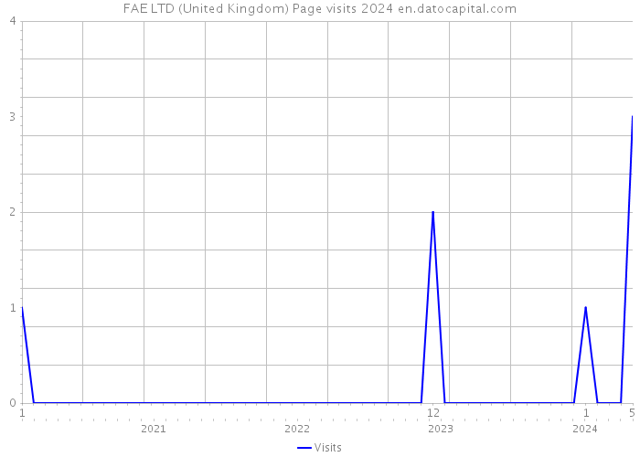 FAE LTD (United Kingdom) Page visits 2024 