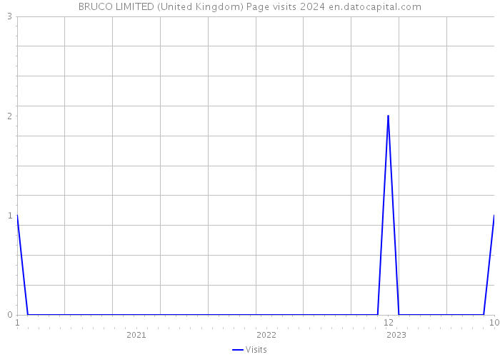 BRUCO LIMITED (United Kingdom) Page visits 2024 