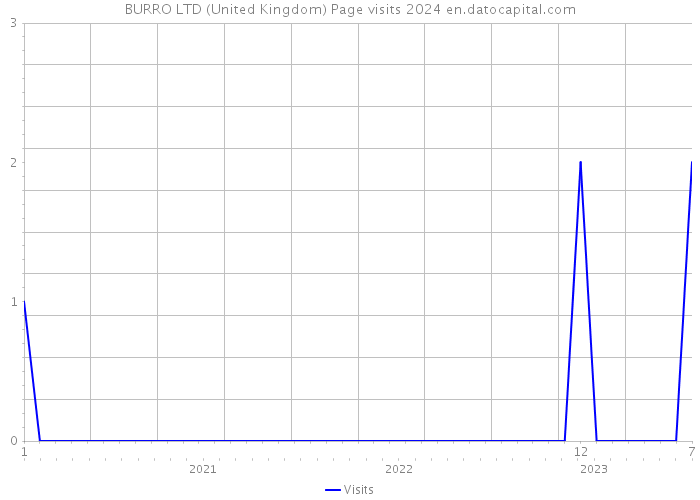 BURRO LTD (United Kingdom) Page visits 2024 