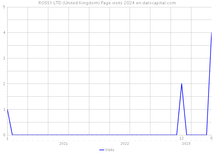ROSSY LTD (United Kingdom) Page visits 2024 