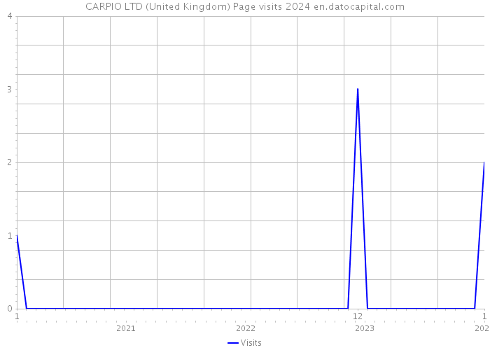 CARPIO LTD (United Kingdom) Page visits 2024 