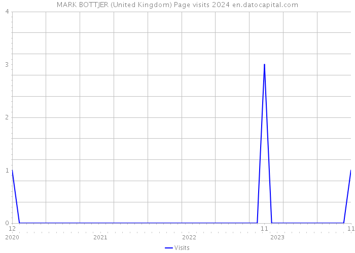 MARK BOTTJER (United Kingdom) Page visits 2024 