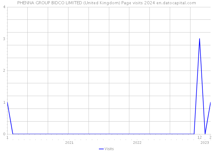 PHENNA GROUP BIDCO LIMITED (United Kingdom) Page visits 2024 