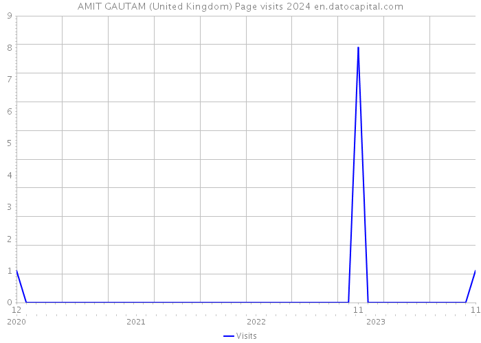 AMIT GAUTAM (United Kingdom) Page visits 2024 