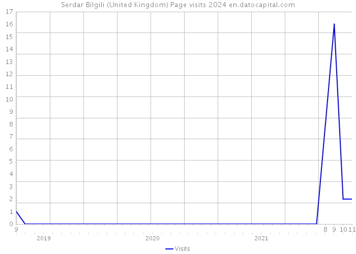 Serdar Bilgili (United Kingdom) Page visits 2024 