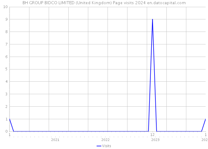 BH GROUP BIDCO LIMITED (United Kingdom) Page visits 2024 