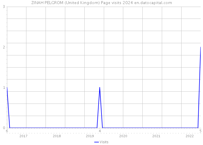 ZINAH PELGROM (United Kingdom) Page visits 2024 