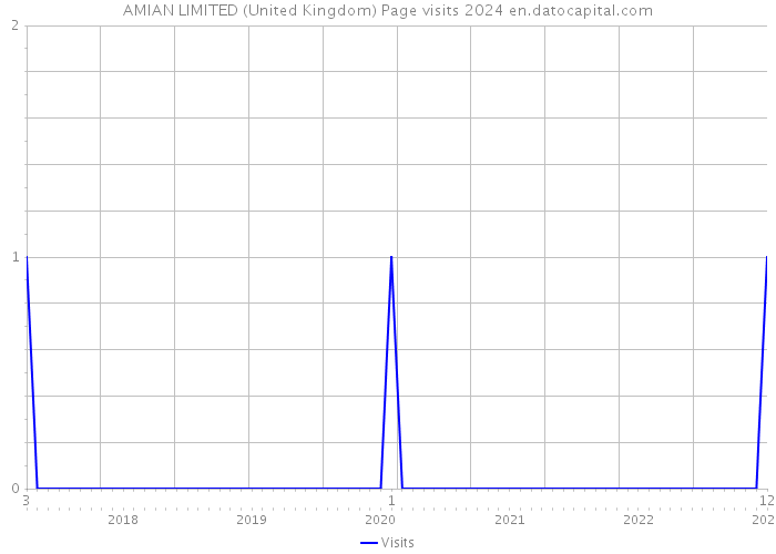 AMIAN LIMITED (United Kingdom) Page visits 2024 