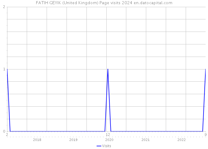FATIH GEYIK (United Kingdom) Page visits 2024 
