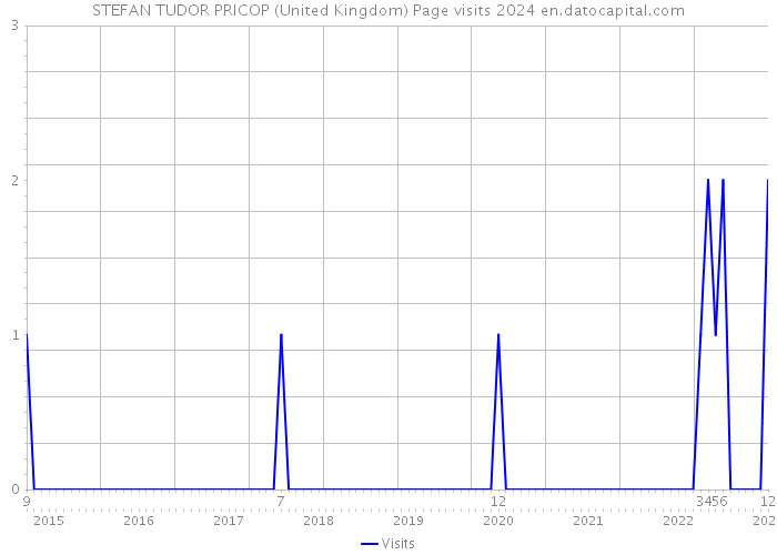 STEFAN TUDOR PRICOP (United Kingdom) Page visits 2024 
