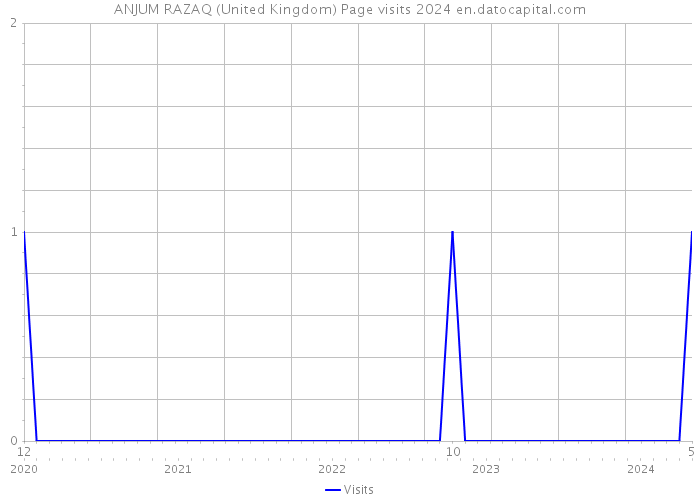 ANJUM RAZAQ (United Kingdom) Page visits 2024 