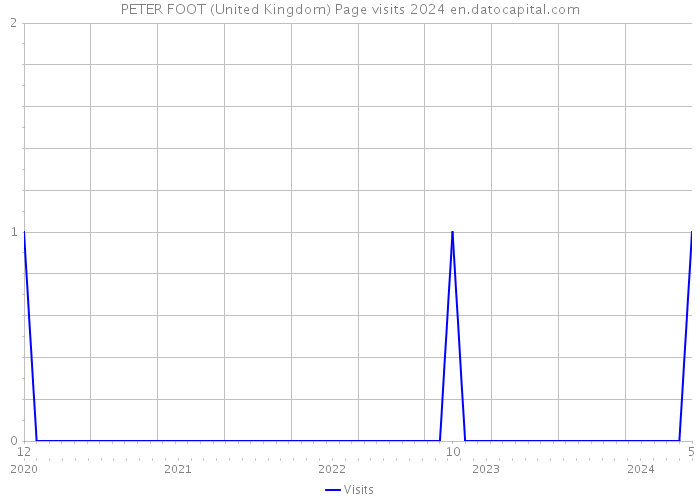 PETER FOOT (United Kingdom) Page visits 2024 