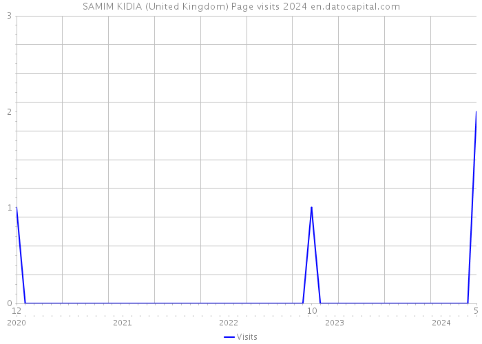 SAMIM KIDIA (United Kingdom) Page visits 2024 