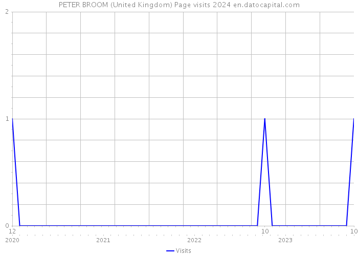PETER BROOM (United Kingdom) Page visits 2024 