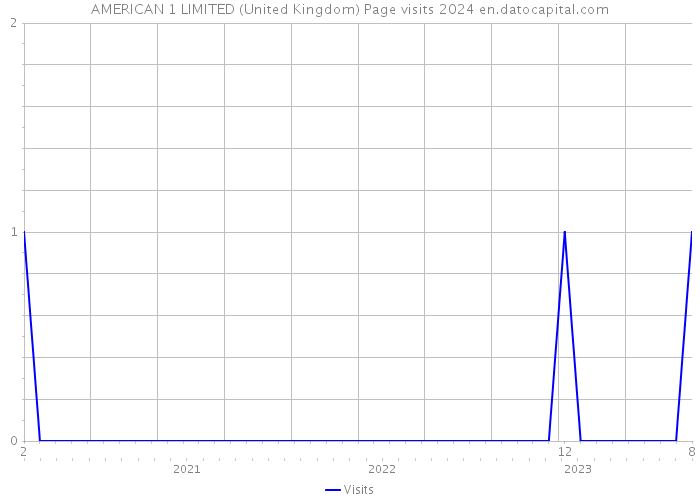 AMERICAN 1 LIMITED (United Kingdom) Page visits 2024 