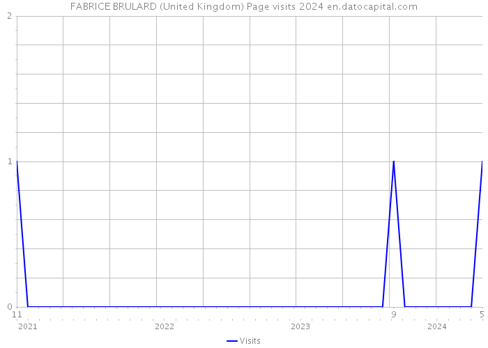 FABRICE BRULARD (United Kingdom) Page visits 2024 