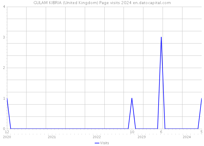 GULAM KIBRIA (United Kingdom) Page visits 2024 