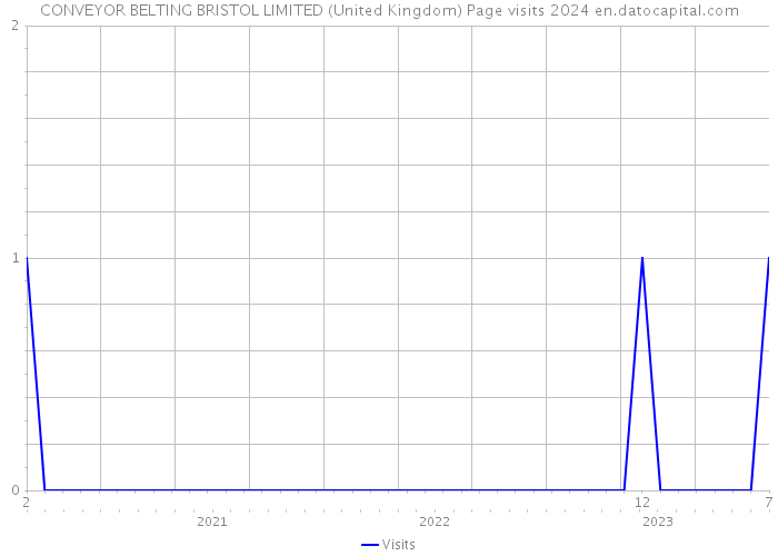 CONVEYOR BELTING BRISTOL LIMITED (United Kingdom) Page visits 2024 