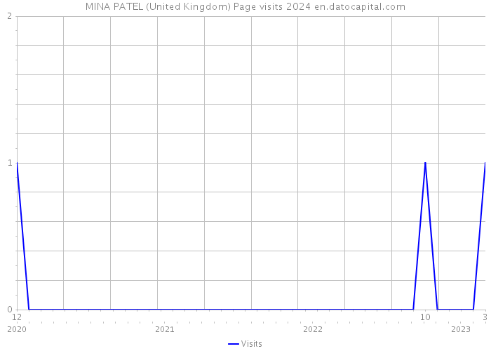 MINA PATEL (United Kingdom) Page visits 2024 